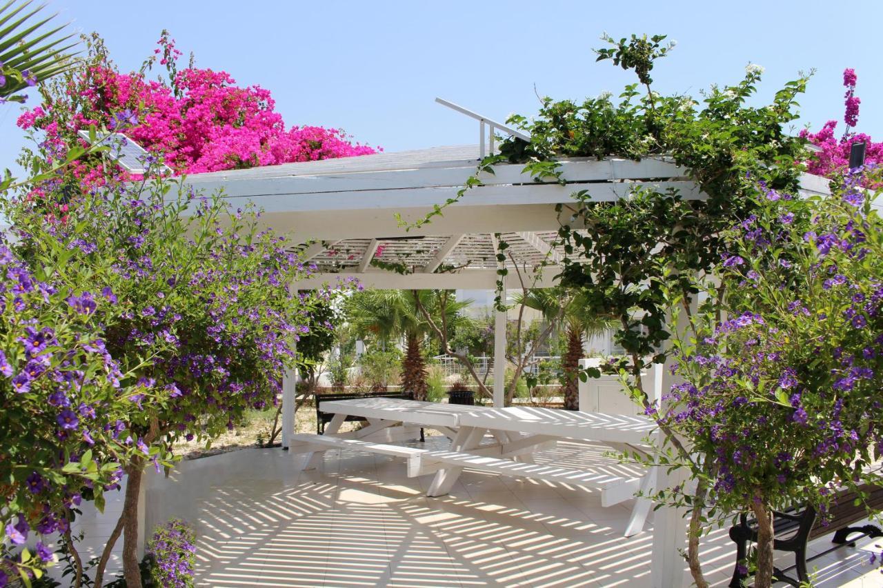 Caesar Beach Villas And Apartments Gastria 外观 照片