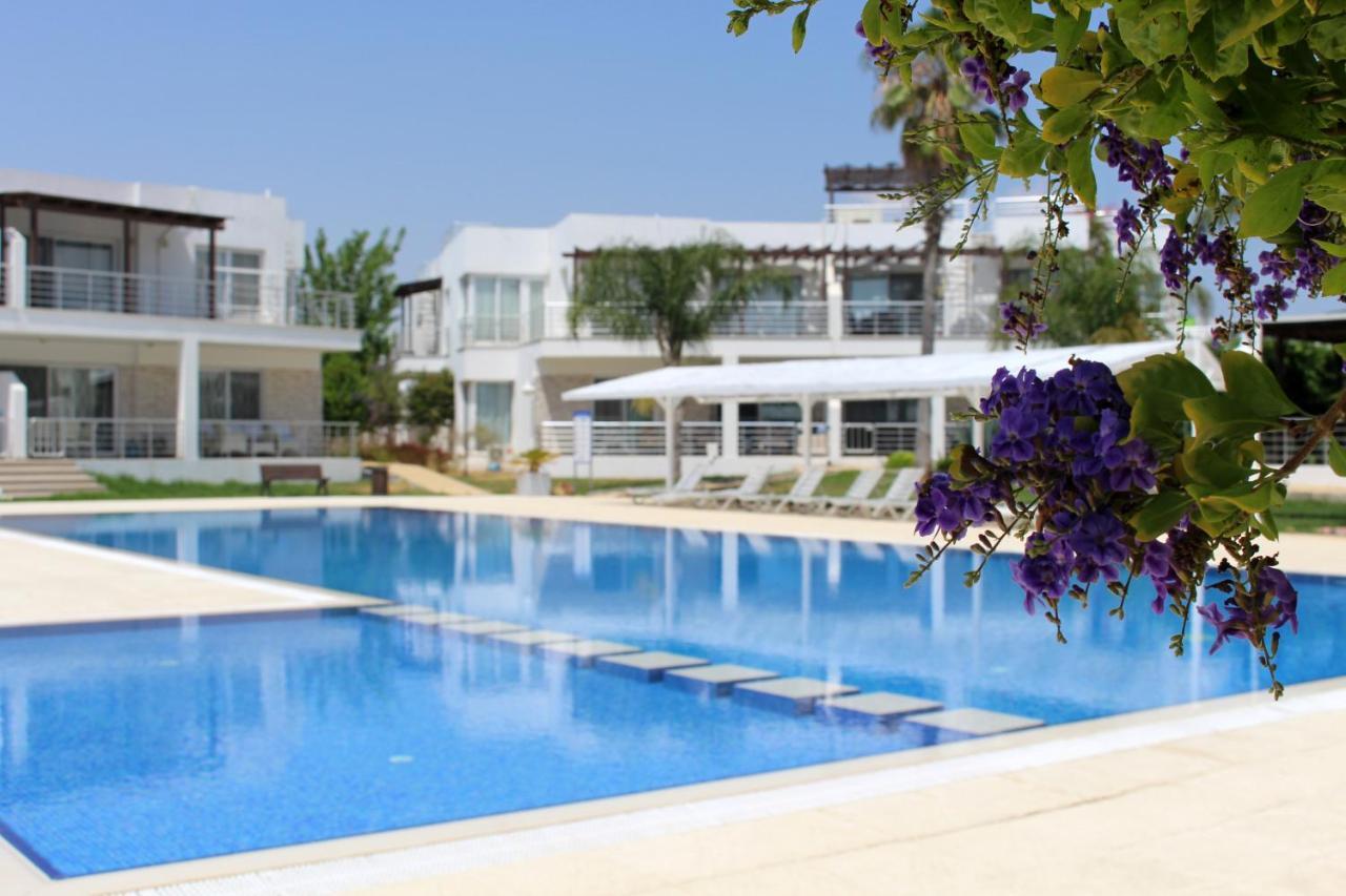 Caesar Beach Villas And Apartments Gastria 外观 照片
